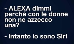 FB_IMG_1675071239591.jpg