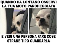 FB_IMG_1675181722173.jpg