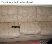 SmartSelect_20230202-144106_Facebook.jpg