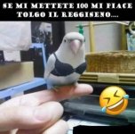FB_IMG_1675446409511.jpg
