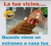 FB_IMG_1675446385882.jpg