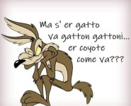 FB_IMG_1675446174493.jpg