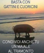 FB_IMG_1675403885822.jpg