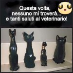 FB_IMG_1675622793329.jpg