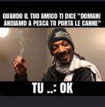 FB_IMG_1675611572589.jpg