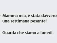 FB_IMG_1675708590729.jpg