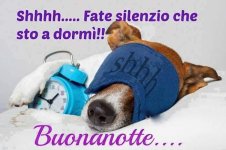 FB_IMG_1675925829149.jpg