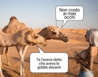 FB_IMG_1676053063321.jpg