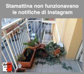 FB_IMG_1676050928859.jpg