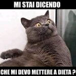 FB_IMG_1676033450463.jpg