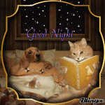 Starry Night Good Night Gif.gif