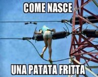 FB_IMG_1676140411411.jpg