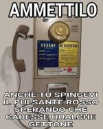 FB_IMG_1676107270266.jpg