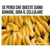FB_IMG_1676282553918.jpg