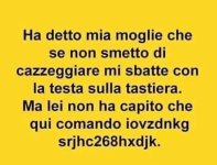FB_IMG_1676269238828.jpg