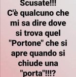 FB_IMG_1676379072299.jpg