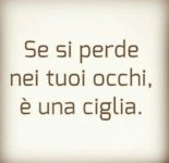 FB_IMG_1676374055528.jpg