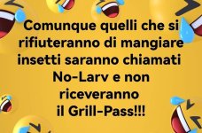 FB_IMG_1676443834852.jpg