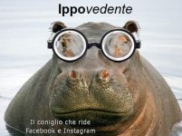 FB_IMG_1676801048040.jpg