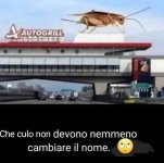 FB_IMG_1676899712838.jpg