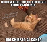 FB_IMG_1677347674365.jpg