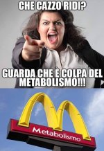 FB_IMG_1677483081341.jpg