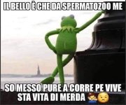 FB_IMG_1677483204075.jpg