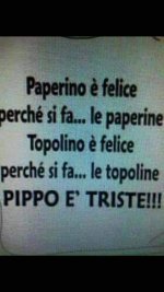 FB_IMG_1677507121261.jpg