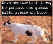 FB_IMG_1677572295944.jpg