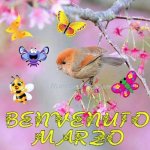 FB_IMG_1677624352449.jpg