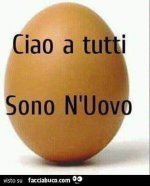 FB_IMG_1677693001448.jpg
