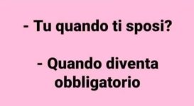 FB_IMG_1677692968286.jpg
