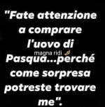 FB_IMG_1677675628545.jpg