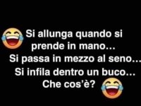 FB_IMG_1677658491162.jpg