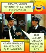 FB_IMG_1677858428534.jpg