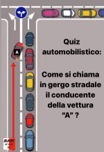 FB_IMG_1677857831046.jpg