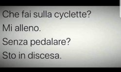 FB_IMG_1678033890804.jpg