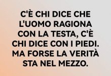 FB_IMG_1677933033568.jpg