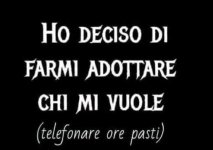 FB_IMG_1677932898129.jpg