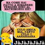 05.jpg