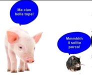 FB_IMG_1678283658668.jpg