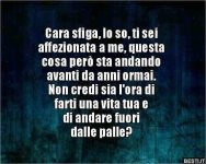 FB_IMG_1678182932493.jpg