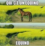 FB_IMG_1678464198536.jpg