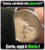 FB_IMG_1678463838773.jpg