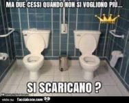 FB_IMG_1678519818583.jpg