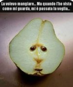 FB_IMG_1678619213059.jpg