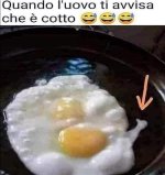 FB_IMG_1678616384137.jpg