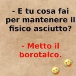 08.jpg