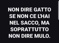 FB_IMG_1678718320583.jpg
