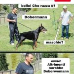 FB_IMG_1678717724511.jpg